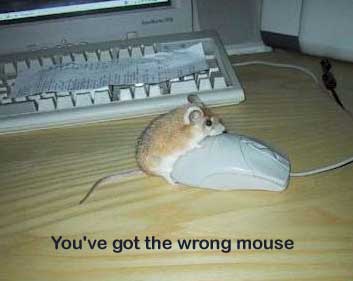 jokemouse.jpg