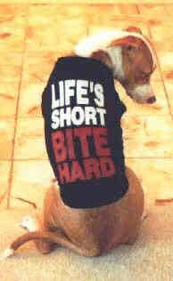 lifeisshort.jpg